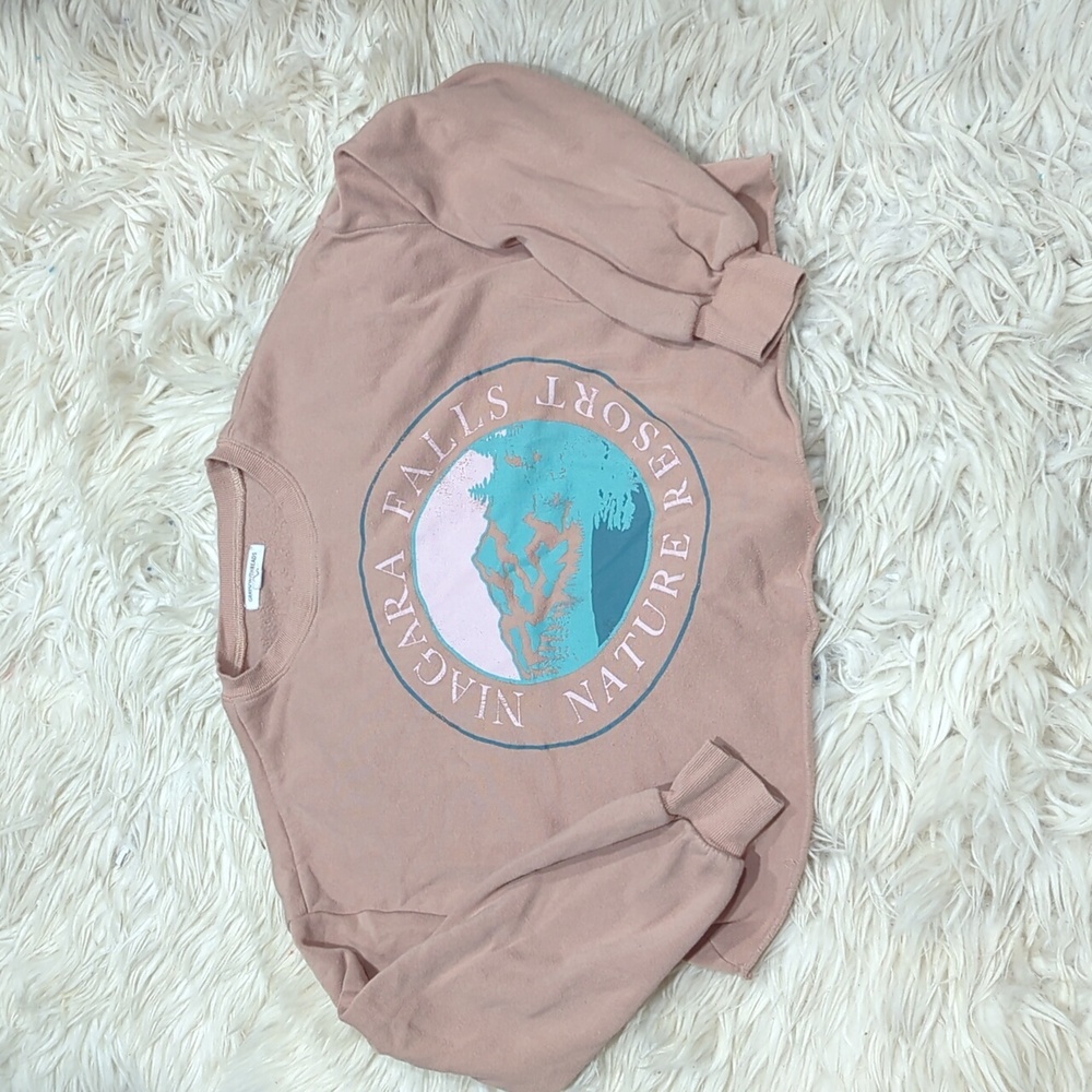 Niagra falls crop sweatshirt